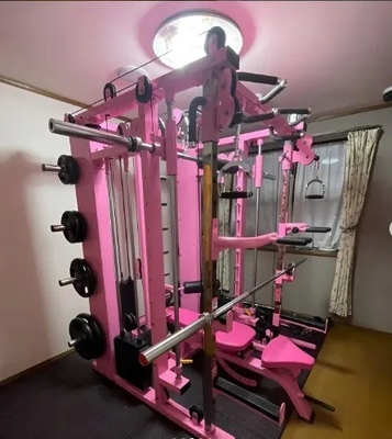 Εναίρετος λειτουργικός εκπαιδευτής Smith Machine Pin Loaded και Πλάκα Loaded για το σπίτι γυμναστήριο Rack