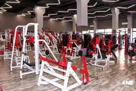 Μηχανές με φορτωμένη πλάκα προπόνησης αντοχής για το θωρακικό πρέσσο και το ισόπλευρο πρέσσο