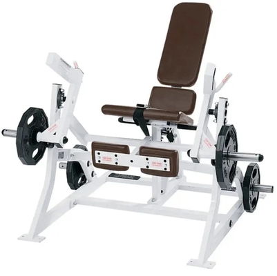 Μέσα φορτία Iso Lateral Leg Curl επέκταση ρυθμιζόμενα βάρη για την προπόνηση δύναμης
