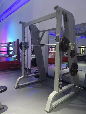 Επαγγελματικό εξοπλισμό γυμναστικής 167 kg Smith Power Rack για Unisex προπόνηση δύναμης