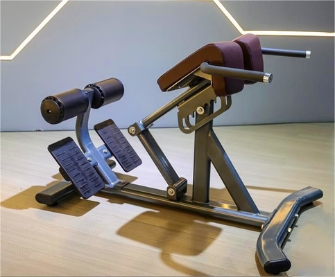 Στυλ Luxury Fitness εξοπλισμός για γυμναστική της πλάτης Ρυθμιστική επέκταση της πλάτης Ρωμαϊκή καρέκλα