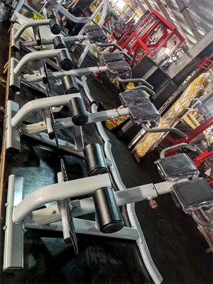 Στυλ Luxury Fitness εξοπλισμός για γυμναστική της πλάτης Ρυθμιστική επέκταση της πλάτης Ρωμαϊκή καρέκλα