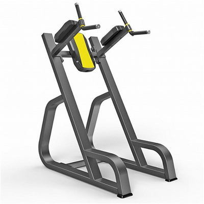 Ενδοσωματωτικό Bodybuilding Vertical Knees Up/Dip Δυναμικός Εκπαιδευτής για τη λύση εξοικονόμησης χώρου