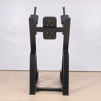 Ενδοσωματωτικό Bodybuilding Vertical Knees Up/Dip Δυναμικός Εκπαιδευτής για τη λύση εξοικονόμησης χώρου