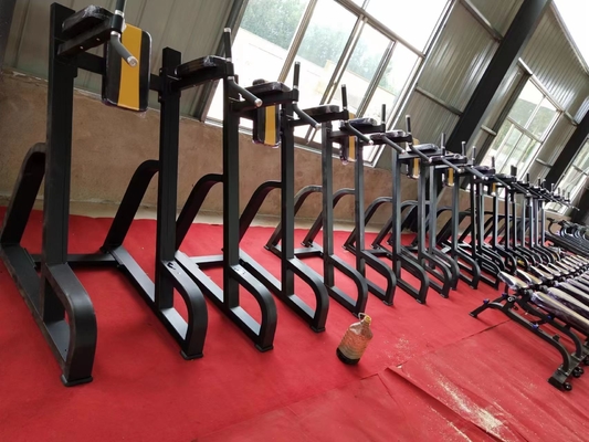 Ενδοσωματωτικό Bodybuilding Vertical Knees Up/Dip Δυναμικός Εκπαιδευτής για τη λύση εξοικονόμησης χώρου