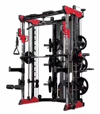 Καυτό πολυλειτουργικό σπίτι Smith Machine με βάρος στοίβα 1500 * 2000 * 2250mm TIG συγκόλληση