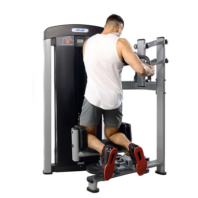 Εμπορικό γυμναστήριο Fitness Sets Steel Indoor Torso Rotation Machine για βέλτιστη απόδοση