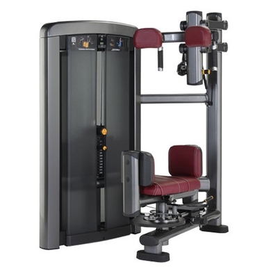 Εμπορικό γυμναστήριο Fitness Sets Steel Indoor Torso Rotation Machine για βέλτιστη απόδοση