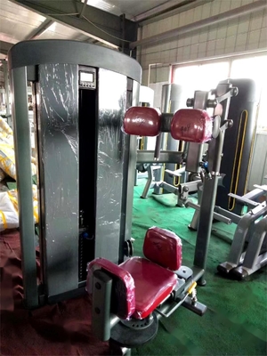 Εμπορικό γυμναστήριο Fitness Sets Steel Indoor Torso Rotation Machine για βέλτιστη απόδοση