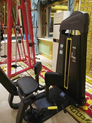 Προσαρμοσμένο λογότυπο Διαθέσιμοςd Befreeman Pin Loaded Hip Adduction για την προπόνηση δύναμης 214kg