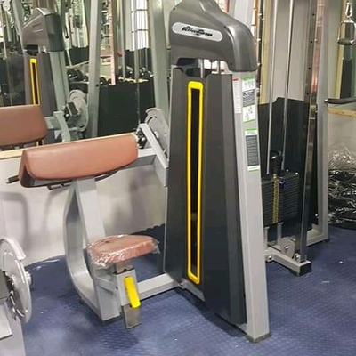 Ατσάλινα Μπισεπικά Τρισεπικά Εξοπλισμός Κουρούλισης για Μέσο Φορέα Μηχανή γυμναστικής στο Befreeman