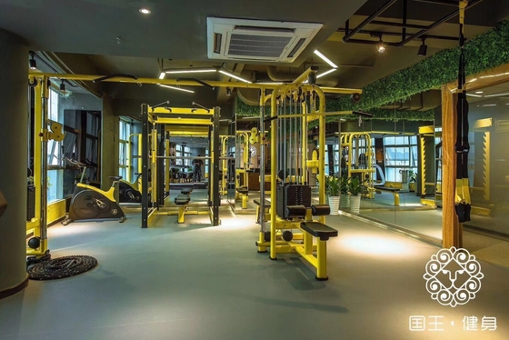 Προσαρμοσμένο λογότυπο διαθέσιμο 8 Stack Multi Gym Trainer για εμπορικό στο Befreeman