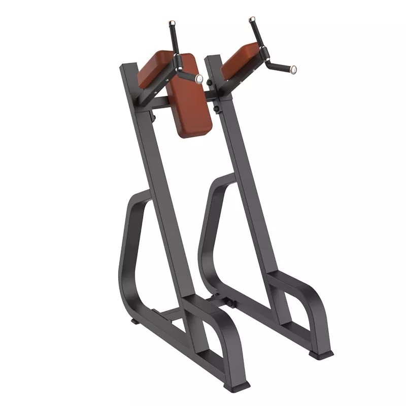 Ενδοσωματωτικό Bodybuilding Vertical Knees Up/Dip Δυναμικός Εκπαιδευτής για τη λύση εξοικονόμησης χώρου